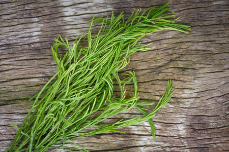 Acacia pennata , Climbing Wattl / Senegalia pennata on wooden nature vegetable kitchen Thai herbal...