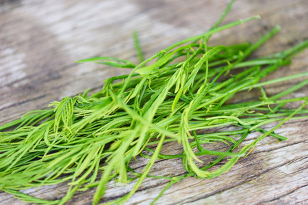 Acacia pennata , Climbing Wattl, Senegalia pennata on wooden nature vegetable kitchen Thai herbal...