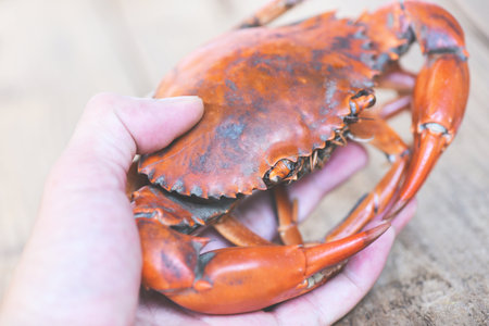 Cooked crab boiled on hand, fresh crab meat