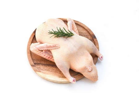 Raw duck isolated on white background, Fresh duck meat on wooden tray for food, Whole duckの写真素材