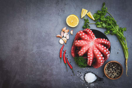 Fresh squid octopus cuttlefish dinner restaurant, Octopus food salad vegetable with garlic lemon...