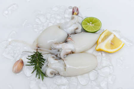 Seafood squid on ice for cooking food in the restaurant, Fresh raw octopus cuttlefish ocean gourmet...