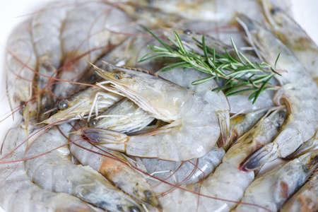 Raw shrimps prawns on background, Fresh shrimp with herbs and spice rosemaryの写真素材