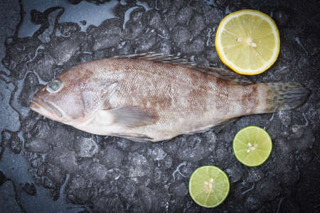 Grouper fish on ice, Fresh raw seafood fish for cooked food
