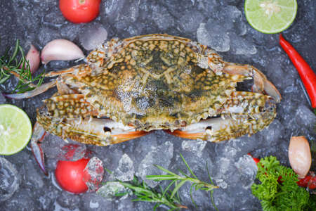 Fresh raw Blue Swimming Crab ocean gourmet with herb spices lemon and rosemaryの写真素材