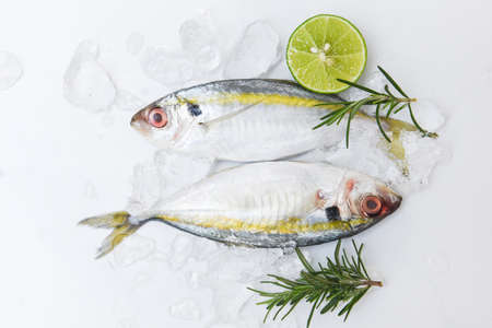 Fresh fish raw Yellow-stripe scad with lemon