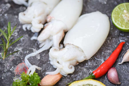 Seafood squid on ice for cooking food in the restaurantの写真素材