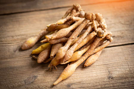 Kaempfer root for food and Thai or Chinese herbal medicine nature - Other names Fingerroot ( Chinese Ginger, Galingale, Kaempfer, Boesenbergia rotunda, Krachai )の写真素材