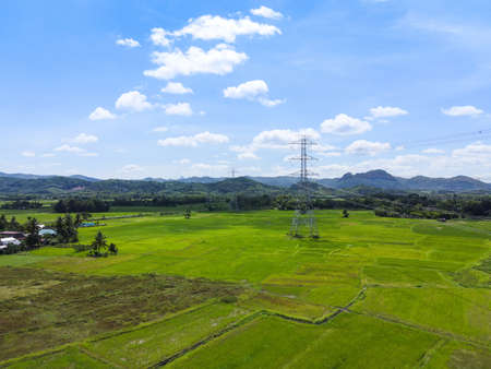 High voltage post, High voltage tower sky background on the mountain forest, Electricity poles and...