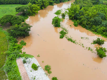 Aerial view river flood forest nature woodland area green tree, Top view river lagoon pond with water flood from above, Bird eye view landscape jungles lake flowing wild water after the rainの写真素材