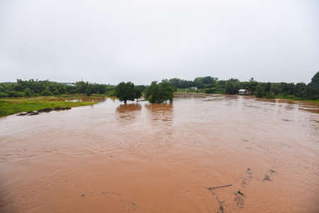 Aerial view river flood forest nature woodland area green tree, Top view river lagoon pond with...