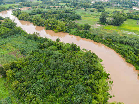 Aerial view river flood forest nature woodland area green tree, Top view river lagoon pond with...