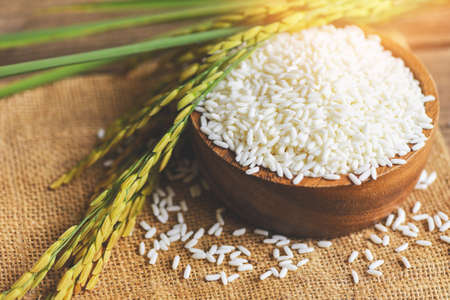 Jasmine white rice in wooden bowl and harvested yellow rip rice paddy on sack, harvest rice and food...