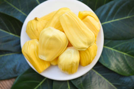 Jackfruit on white plate and green leaf background, ripe jackfruit peeled tropical fruit fresh from...