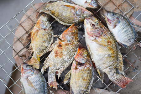 grilled fish on the grill, Tilapia fish grilled with salt cooking fish burn Thai foodの写真素材