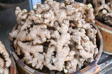 Fresh organic ginger on fresh market in thailand, fresh ginger plant farm harvest ginger root on field agricultural for sold in the marketの写真素材