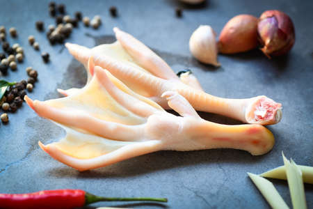 duck feet with herb spices ready to cook on plate, Fresh feet duck for foodの写真素材