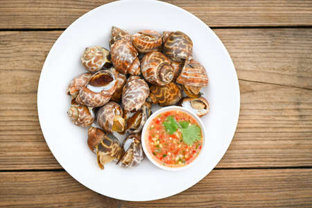 Fresh  Spotted babylon Sea shell limpet ocean gourmet seafood in the restaurant, Babylonia areolata shellfish seafood on white plate with seafood sauce on table backgroundの写真素材