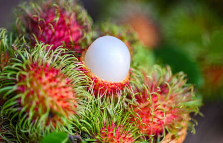 Fresh and ripe rambutan sweet tropical fruit peeled rambutan with leaves, Rambutan fruit on basket and wooden background harvest from the gardenの写真素材