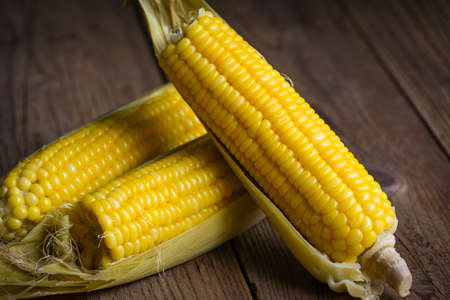 sweet corn cooked on wooden background, ripe corn cobs steamed or boiled sweetcorn for food vegan...