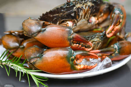 fresh mud crab with ice for cooking food in the seafood restaurant, raw crab on white plate with rosemaryの写真素材