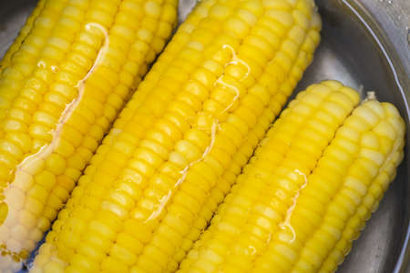 steamed or boiled sweet corn cooked in hot pot , ripe corn cobs sweetcorn for foodの写真素材
