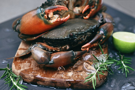raw crab on wooden cutting board background , fresh mud crab with ice for cooking food in the seafood restaurantの写真素材