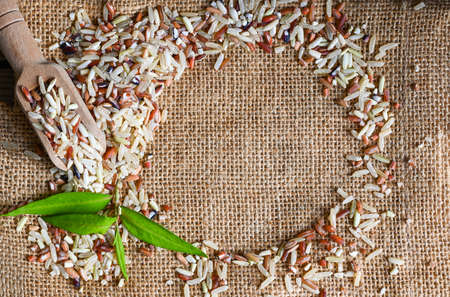 brown rice in the sack background , raw various rice color mixed thai rice for cooking food , Loonzain rice brown black red white purple health food.の写真素材