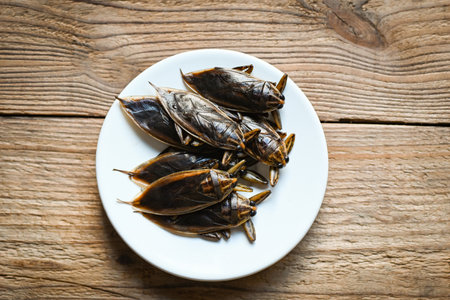 Giant water bug on white plate, water bug Lethocerus indicus - Belostomatidaeの写真素材