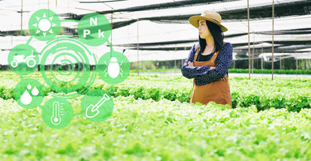 smart farm modern agricultural technology hydroponic planting in the hydroponic vegetables system...