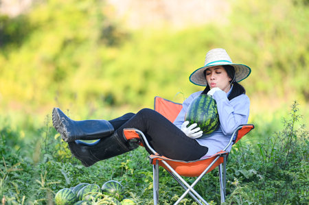 watermelon field - woman gardener farmer harvesting watermelons in the field with fresh watermelon fruit agriculture garden watermelon farm with leaf tree plantの写真素材