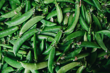 snow pea - Green pea texture background top view, pisum peasの写真素材