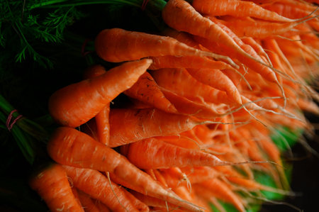 carrot background, harvest fresh carrots growing in carrot field vegetable garden in the market organic farm harvest agricultural product natureの写真素材