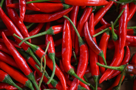Chili pepper, Red hot chilli peppers pattern texture background. Close up group of ripe red chilli - top viewの写真素材
