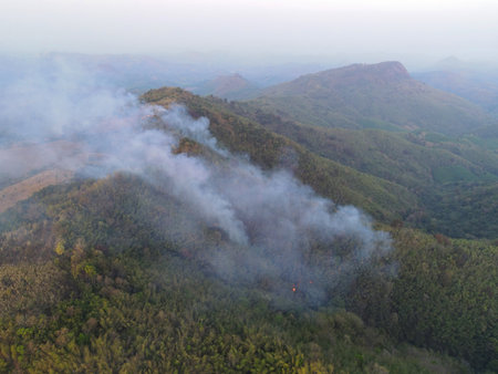 wildfire on the mountain fire burning forest dry bamboo forest at asian in the summer, aerial view forest fire wildfire burning tree with smog fog on on the air pm2.5 global warming conceptの写真素材