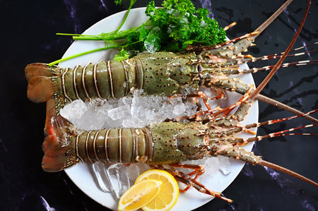 spiny lobster seafood on ice, fresh lobster or rock lobster with herb and spices lemon coriander parsley on dark background, raw spiny lobster for cooking food or seafood market - top viewの写真素材