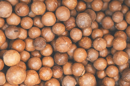 macadamia nuts texture background, fresh natural shelled raw macadamia nuts in a full frame, close up pile of roasted macadamia nut - top viewの写真素材