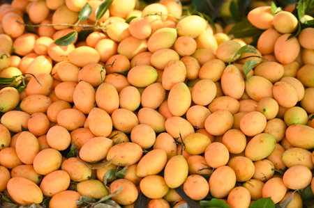 Marian plum fruit in the market tropical fruit , Name in Thailand Sweet Yellow Marian Plum Maprang Plango or Mayong chidの写真素材