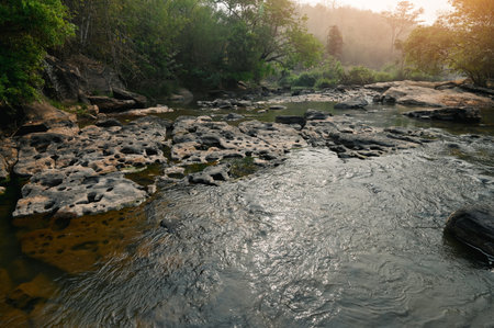 River stream waterfall in forest landscape, beautiful nature water stream with  rocks in the tropical forest little mountain waterfall water flowing and stone clear water in mountain river with treeの写真素材