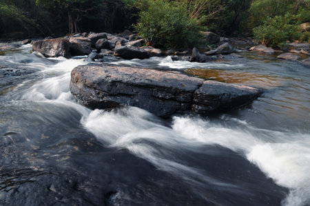 River stream waterfall in forest landscape, beautiful nature water stream with  rocks in the tropical forest little mountain waterfall water flowing and stone clear water in mountain river with treeの写真素材