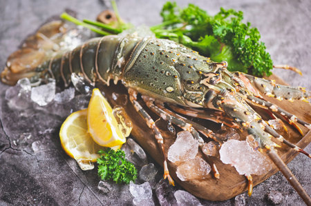 spiny lobster seafood on ice, fresh lobster or rock lobster with herb and spices lemon coriander parsley on dark background, raw spiny lobster for cooking food or seafood marketの写真素材