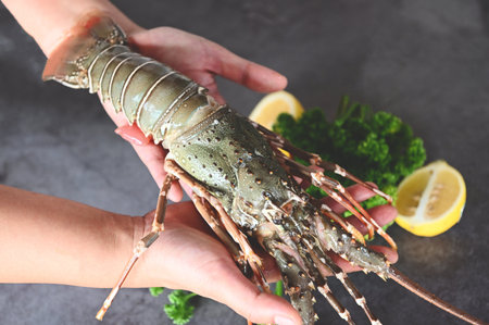spiny lobster seafood on hand, fresh lobster or rock lobster with herb and spices lemon coriander parsley on dark background, raw spiny lobster for cooking food or seafood marketの写真素材