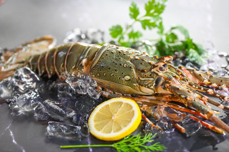 spiny lobster seafood on ice, fresh lobster or rock lobster with herb and spices lemon parsley on dark background, raw spiny lobster for cooking food or seafood marketの写真素材