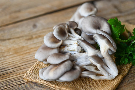Fresh grey oyster mushroom on wooden background, fresh raw oyster mushroom for cooking foodの写真素材