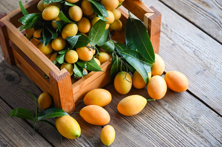Marian plum fruit and leaves in b wooden box, tropical fruit Name in Thailand Sweet Yellow Marian Plum Maprang Plango or Mayong chidの写真素材