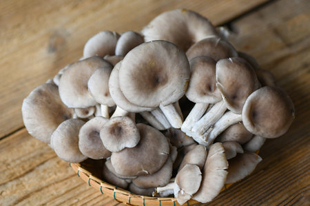 Fresh grey oyster mushroom on wooden background, fresh raw oyster mushroom for cooking foodの写真素材
