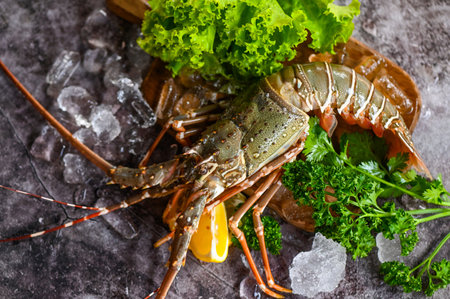 spiny lobster seafood on ice, fresh lobster or rock lobster with herb and spices lemon parsley on dark background, raw spiny lobster for cooking food or seafood market - top viewの写真素材