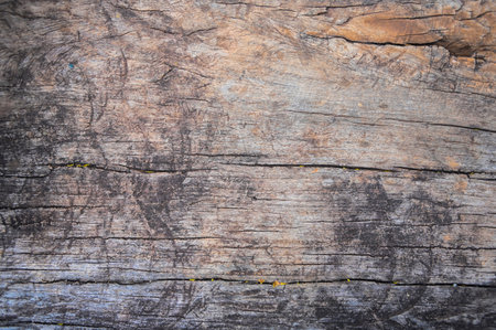 wooden wall texture, old wall wood background with old dirty and vintage style patternの写真素材