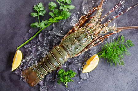 spiny lobster seafood on ice, fresh lobster or rock lobster with herb and spices lemon parsley on dark background, raw spiny lobster for cooking food or seafood market - top viewの写真素材