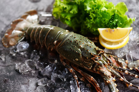 spiny lobster seafood on ice, fresh lobster or rock lobster with herb and spices lemon coriander parsley on background, raw spiny lobster for cooking food or seafood market - top viewの写真素材